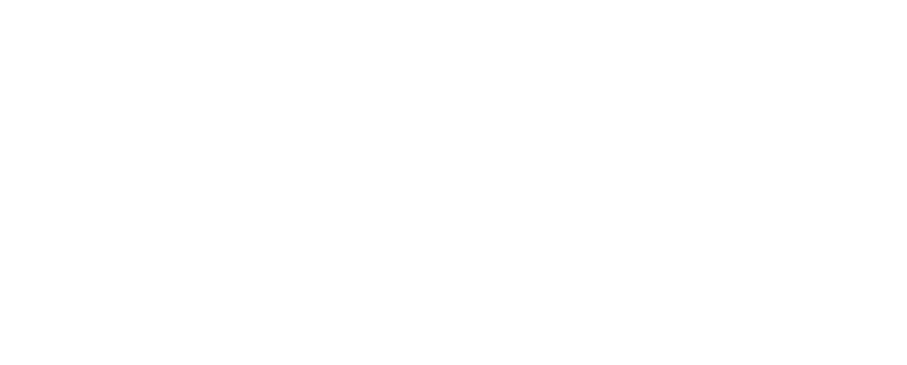 Central Arizona College white logo