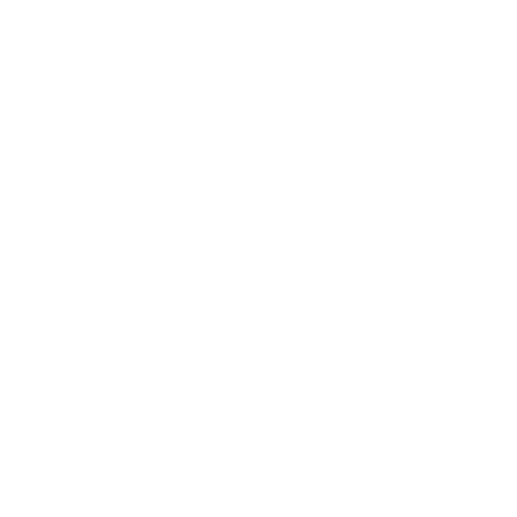 Saint Francis University Logo.