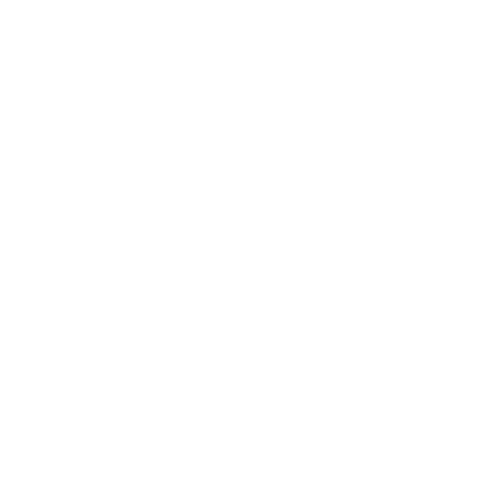Snead State Community College white logo.