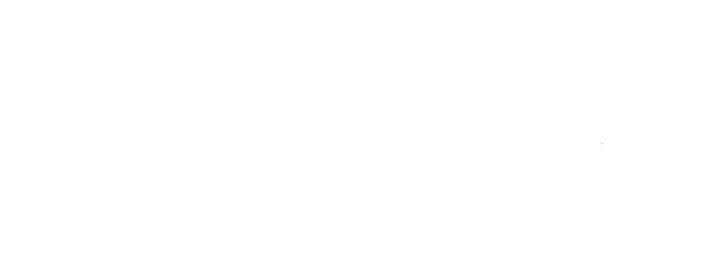 The Tennessee Center for the Study and Treatment of Dyslexia white logo