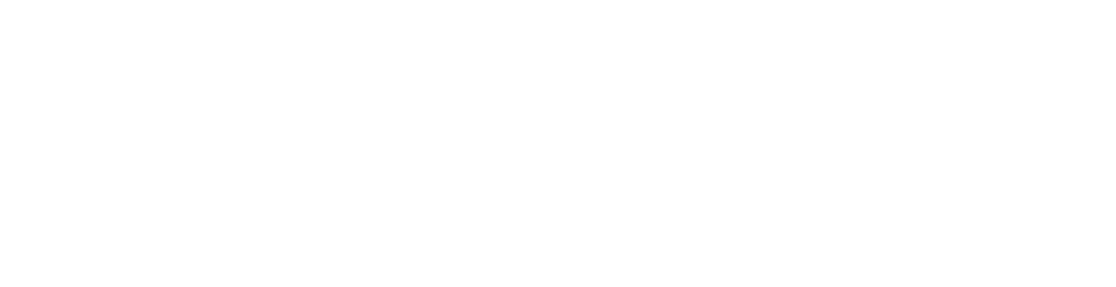 Valley City State University white logo